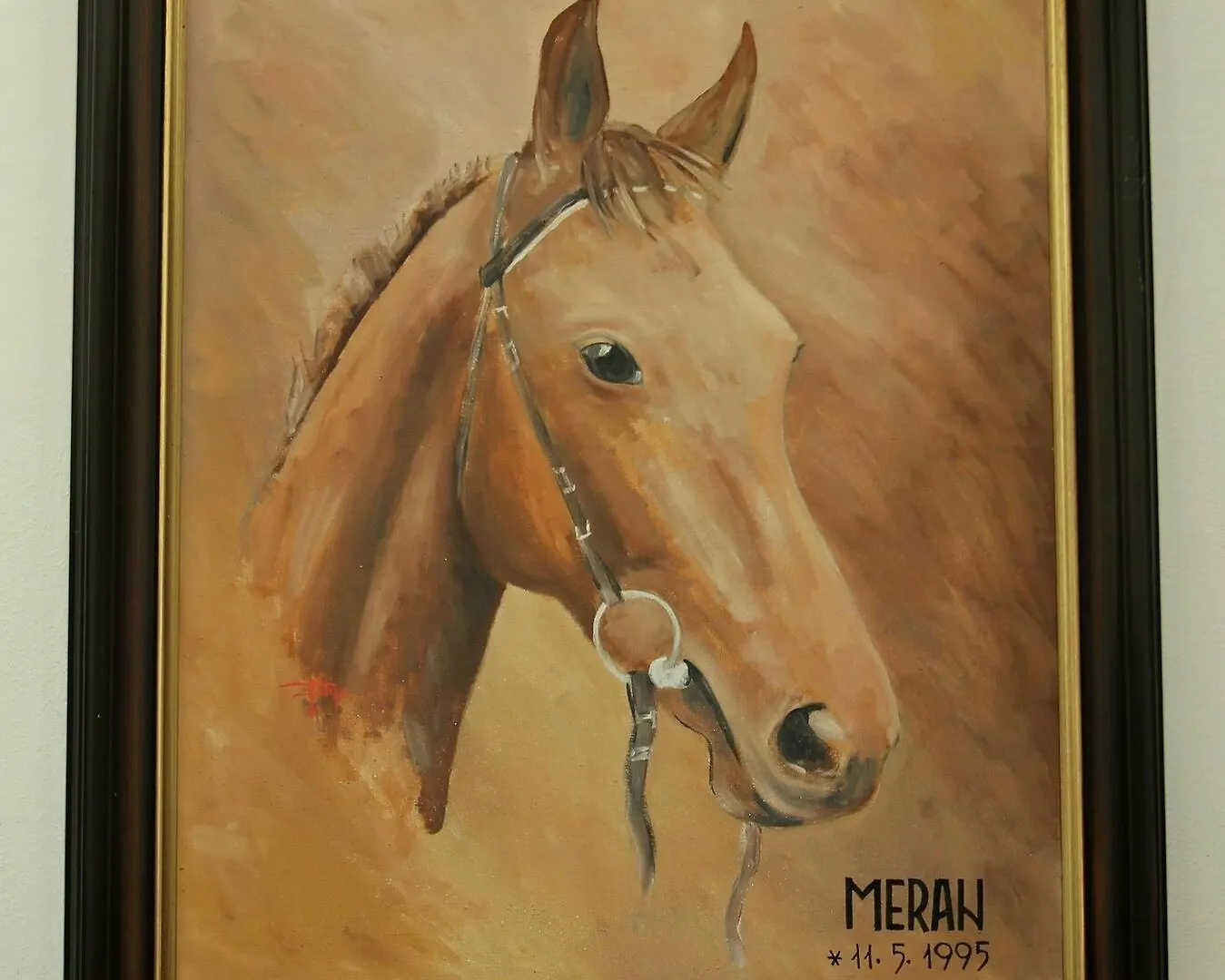 Meran Prague 3*,